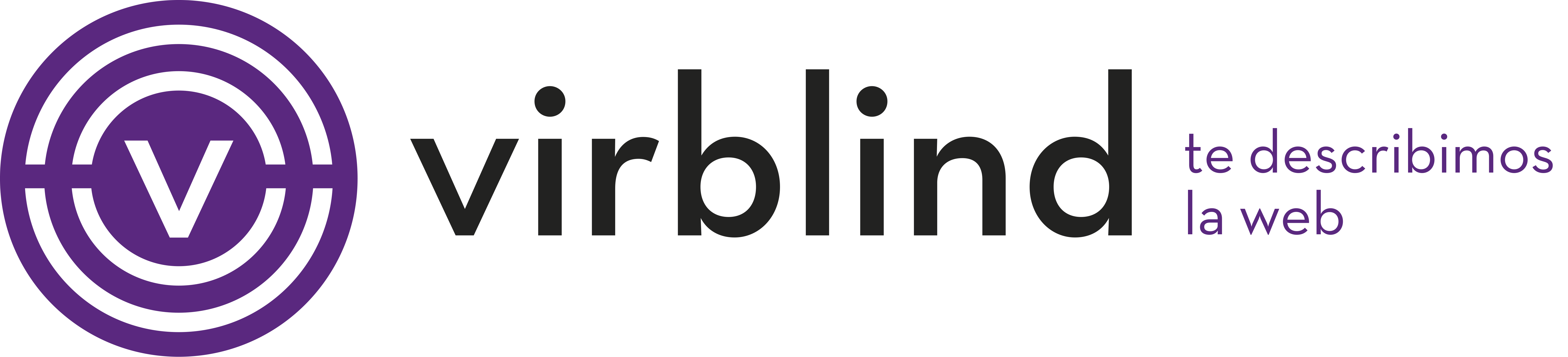 logotipo de Virblind con texto "te describimos la web"